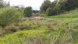 Fintray Hill Climb June 2014