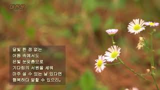 김혜정 / 갈대 인연 / 시낭송  / 조한직 (낭송시 선정)