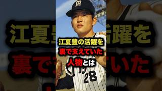 江夏豊の活躍を裏で支えていた人物とは #プロ野球 #野球解説 #野村克也 #shorts