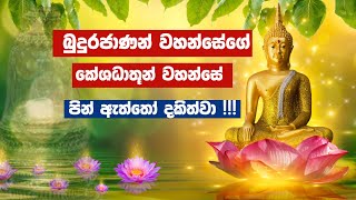 බුදුරජාණන් වහන්සේගේ කේශධාතූන් වහන්සේ පින් ඇත්තෝ දකිත්වා.....🙏🙏