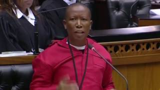 'Dutch gangsters took our land' – Julius Malema debates to take land back