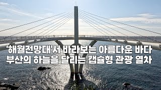 강아지와 부산 가볼만한 곳!! 해운대 해변열차 기차길 산책로