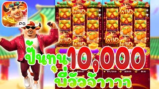 #coolbet168 -  PGslot สล็อตpg  - Fortune Ox ปั้นทุน10,000พี่วัวจ้าาาา