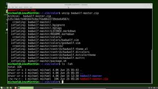 Vim (40) Plugins Pt1