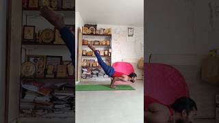 How to #practice #mayurasana #tuljapurvinodh #yogamaster #yoga #asana #shorts #video #love #like