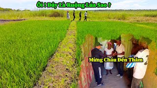 Công Đồng II Lí Do Bác Chủ Đất Vắng Mặt Trong Thời Gian Qua ? Có Chuyện Gì Với Bác Vậy ?