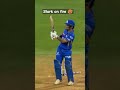 🔥Mitchell starc on fire 🥵|| starc is back #mitchellstarc #cricketshort || best wicked......