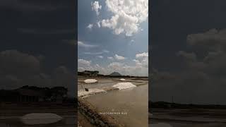 ഉപ്പ് പാടം കണ്ടിട്ടുണ്ടോ?| Salt field | ഉപ്പളം