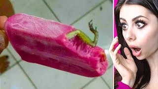SHOCKING Things People Found in their Food !