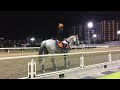 2018.10.15 川崎🐎7r 誘導馬🎃