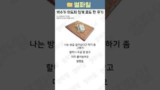 백수가 의도치 않게 효도 한 후기