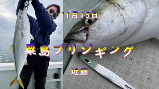 11月15日 粟島ブリジギング