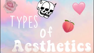 Types of Aesthetics || how to find your aesthetic
