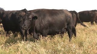 AgweekTV: USDA Gene Bank Brings Back Old Genetics