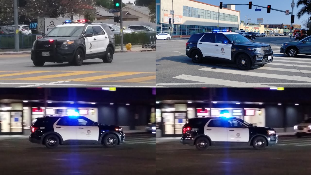 Lapd Responding Youtube