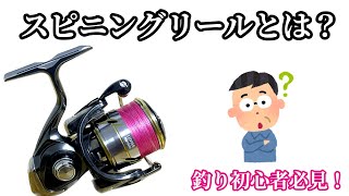 【釣り初心者】スピニングリールとは？分かりやすく説明します！