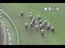 パトロールビデオ 080511 2東京6 11r nhkマイルカップ