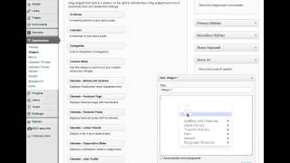Adding Text to Widgets in WordPress