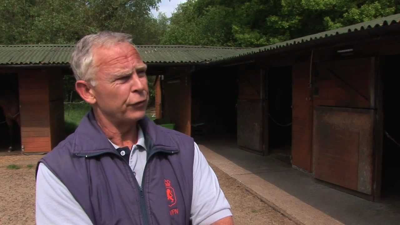 Verdo Horse Bedding Video Youtube