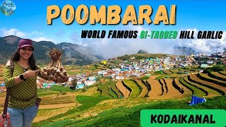 Poombarai Village Tour - Kodaikanal | பூம்பாறை Vlog | முருகன் கோவில் | World famous Hill Garlic