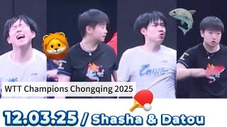 Cute little moment / Shasha Datou / 12.03.25 / WTT Champions Chongqing 2025 🦁🦈❤️🏓