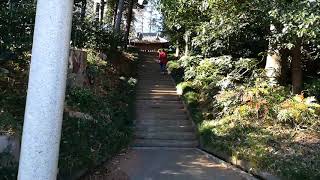 #小堤八幡神社 でお百度参り (埼玉県川越市小堤) 2017/12/26