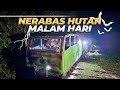 Akibat Nekat Naik Molek Malam Hari Di Tengah Hutan #6