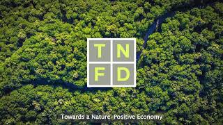 Launching the Taskforce on Nature-related Financial Disclosures (TNFD)