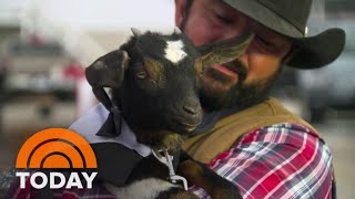 Meet The Goats Stealing The Show At The Kentucky Derby