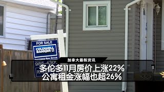 多伦多11月房价上涨22%     公寓租金涨幅也超26%