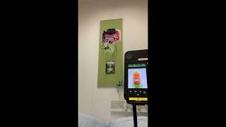 Automatic Minihoop Scoring System Demo