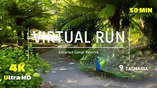 Virtual Run Trail - Trail Run 4K - Treadmill Workout -Cataract Gorge - Scenery Tasmania