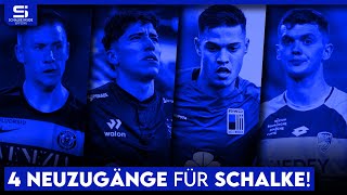 Noch kein neuer Innenverteidiger! Diese Spieler können Schalkes Abwehr verstärken! | S04 Analyse