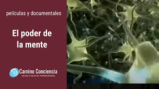 El PODER de la MENTE - FÍSICA CUÁNTICA - Camino Conciencia