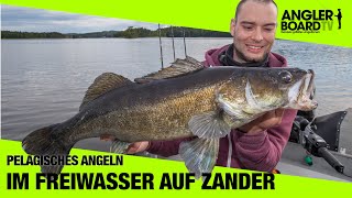 Pelagisches Angeln | Im Freiwasser auf Zander | Das perfekte Stinger Rig | Anglerboard TV