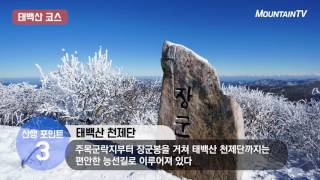 태백산, 눈꽃 산행 제대로 즐기기 위한 등산코스