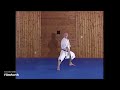 Kata 1 Goju Ryu   Taikyoku Gedan