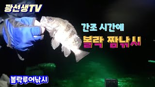 볼락루어낚시/간조 시간에 볼락 짬낚시