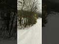 Snowboarding POV tree line watch out for that branch. #snowboard #snowboarding #snowboardseason