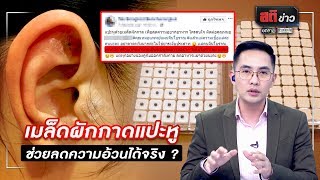 เมล็ดผักกาดแปะหู ช่วยลดความอ้วนได้จริง? | สติข่าว | ข่าวช่องวัน | one31