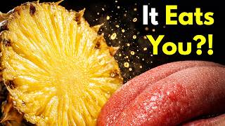 Why Does Pineapple Eat You Back?