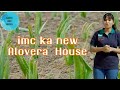 IMC ka new form house || एलोवेरा की अजीब तरह की खेतिया || Good IMC India