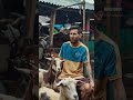 Goat seller at Indonesian traditional market on occasion of Eid al-Adha #fypシ゚viral #ai