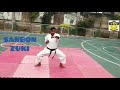 karate sanbon zuki