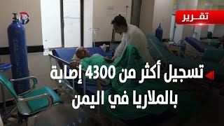 تسجيل أكثر من 4300 إصابة بالملاريا منذ مطلع العام الجاري - تقرير: سمية جمال