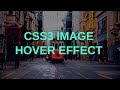 CSS3 Image Hover Effect | Tutorial for Beginners