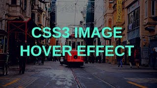 CSS3 Image Hover Effect | Tutorial for Beginners