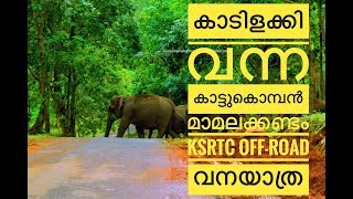 Offroad KSRTC Bus TRIP  | Inside Forest | Mamalakkandam - Kothamangalam | Kerala മാമലക്കണ്ടം