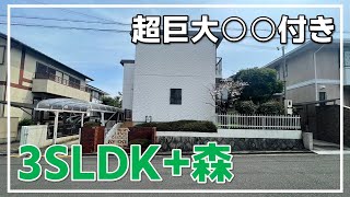 【ドデカ注文住宅】3SLDK+森！？部屋に庭も多くて開放感たっぷりの注文住宅を内覧(大阪府高槻市　物件紹介）ルームツアー