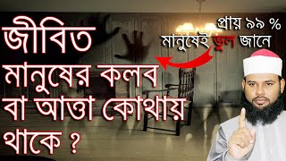 মানুষের নফস বা রুহ বা কলব বা আত্মা কোথায় থাকে  আত্মা ও বিজ্ঞান জানুন ইসলাম কি বলে